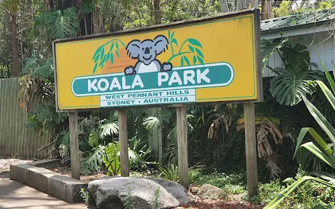 Koala Park Sanctuary Sydney image