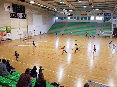 Anglet Olympique Handball à Anglet