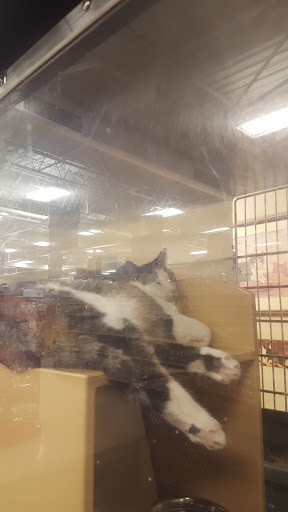 Pet Supply Store «PetSmart», reviews and photos, 1559 Merritt Blvd, Dundalk, MD 21222, USA