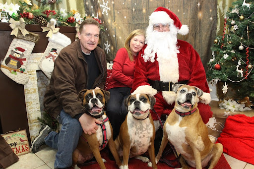 Pet Supply Store «The Hungry Puppy», reviews and photos, 1288 NJ-33, Farmingdale, NJ 07727, USA