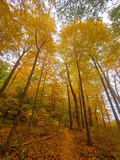 Nature Preserve «Meltzer Woods», reviews and photos, 1522 S 600 E, Shelbyville, IN 46176, USA