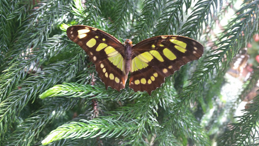 Tourist Attraction «OdySea Mirror Maze», reviews and photos, 9500 East Vía de Ventura #200, Scottsdale, AZ 85256, USA