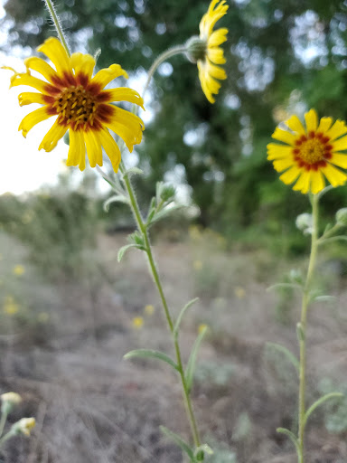 Park «Anderson River Park», reviews and photos