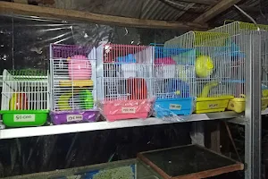 hamster banjarmasin image