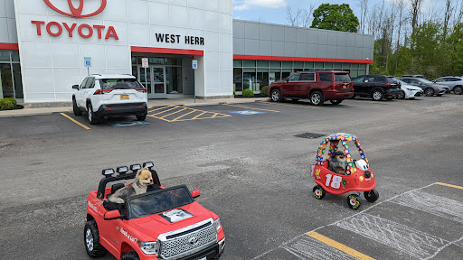 Car Dealer «Vanderstyne Toyota», reviews and photos, 4374 W Ridge Rd, Rochester, NY 14626, USA
