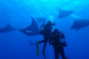Best Spot Azores Dive Center image
