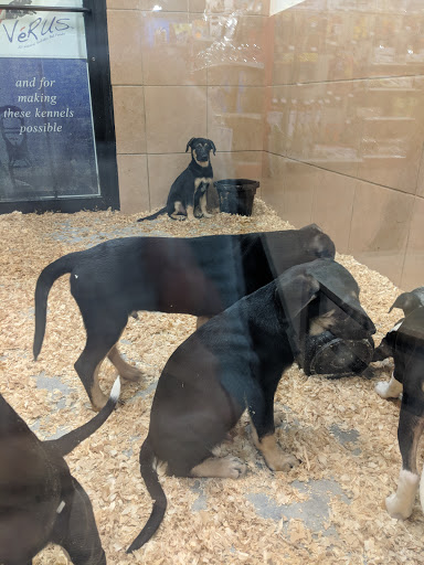 Pet Store «Pets Plus - Lansdale», reviews and photos, 555 S Broad St, Lansdale, PA 19446, USA