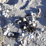 Photo n°9 de l'avis de Christian.c fait le 14/11/2017 à 10:56 sur le  Strandbad Hooksiel à Wangerland