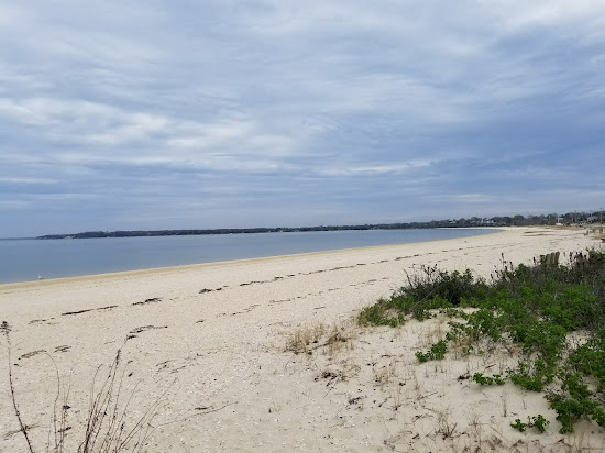 Foster Beach