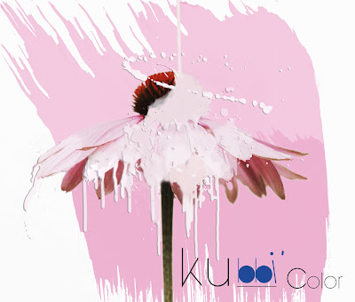 KUBBICOLOR à Castelnaudary