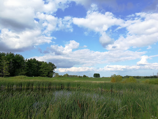 Golf Club «Stonewall Orchard Golf Club», reviews and photos, 25675 W State Highway 60, Grayslake, IL 60030, USA