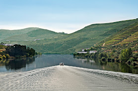 FeelDouro