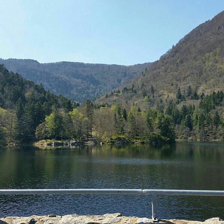 Photo n° 5 de l'avis de jarod.i fait le 12/04/2017 à 04:05