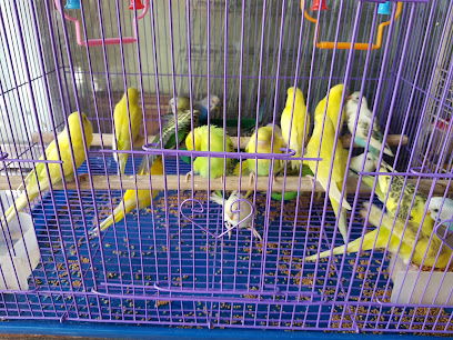 Cửa Hàng Lồng Chim Cảnh Sơn Lý