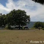 Photo n°5 de l'avis de Cristiano.a fait le 08/07/2018 à 21:47 sur le  Giomici Castle à Valfabbrica