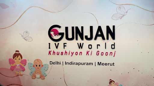 Gunjan IVF World (Test Tube Baby Center)