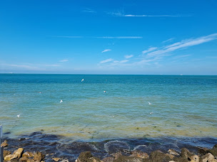 Photo n°124 de Restaurant la Sirène à Audinghen ()