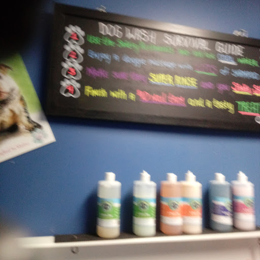 Pet Store «Super Dogs & Cats», reviews and photos, 380 Elm St, Biddeford, ME 04005, USA