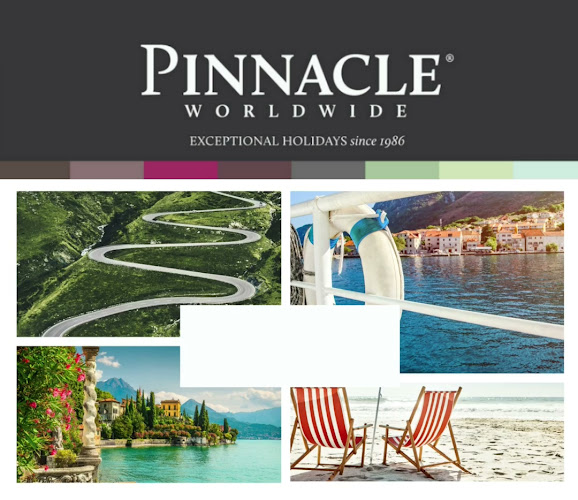 Comments and reviews of Pinnacle Worldwide