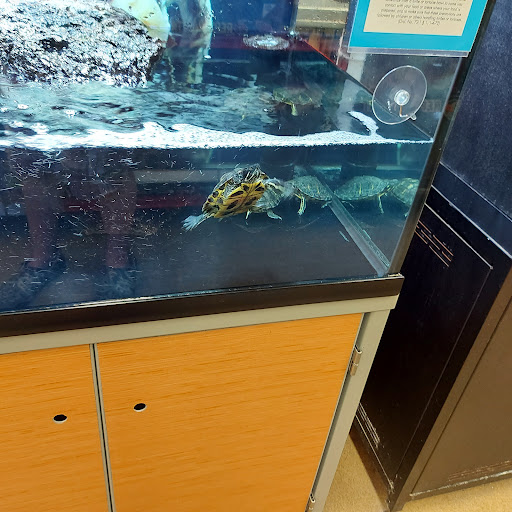 Pet Supply Store «Petco Animal Supplies», reviews and photos, 364 Randall Rd, South Elgin, IL 60177, USA