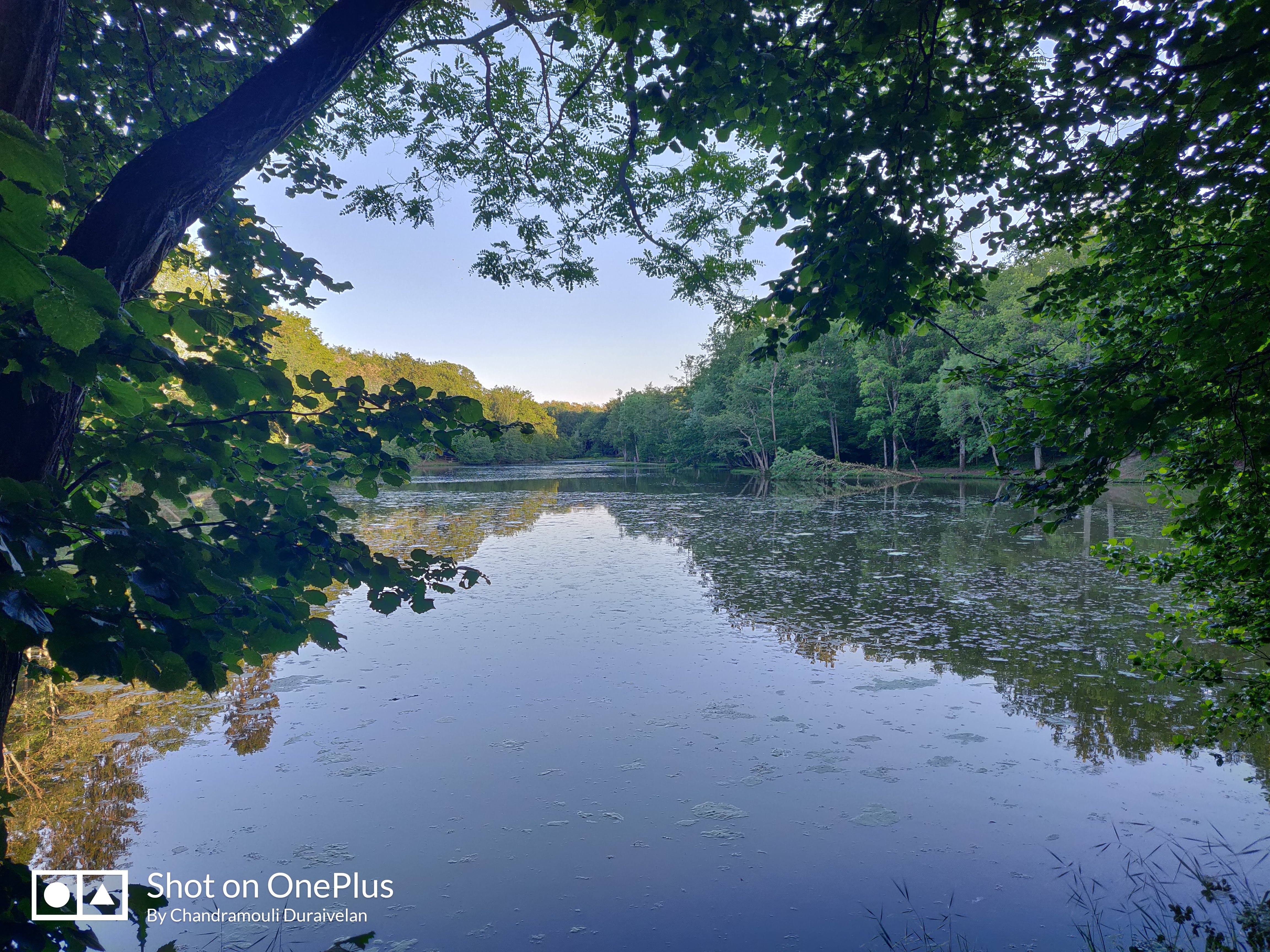 Photo n° 3 de l'avis de Chandramouli.u fait le 13/06/2019 à 17:28