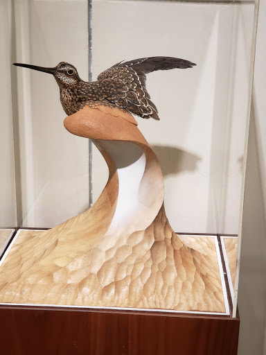 Art Museum «Gibbes Museum of Art», reviews and photos, 135 Meeting St, Charleston, SC 29401, USA