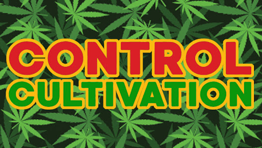 Control Cultivation - Indoor Gardening 112 Main St W unit C, North Bay, ON P1B 2T5, Canada