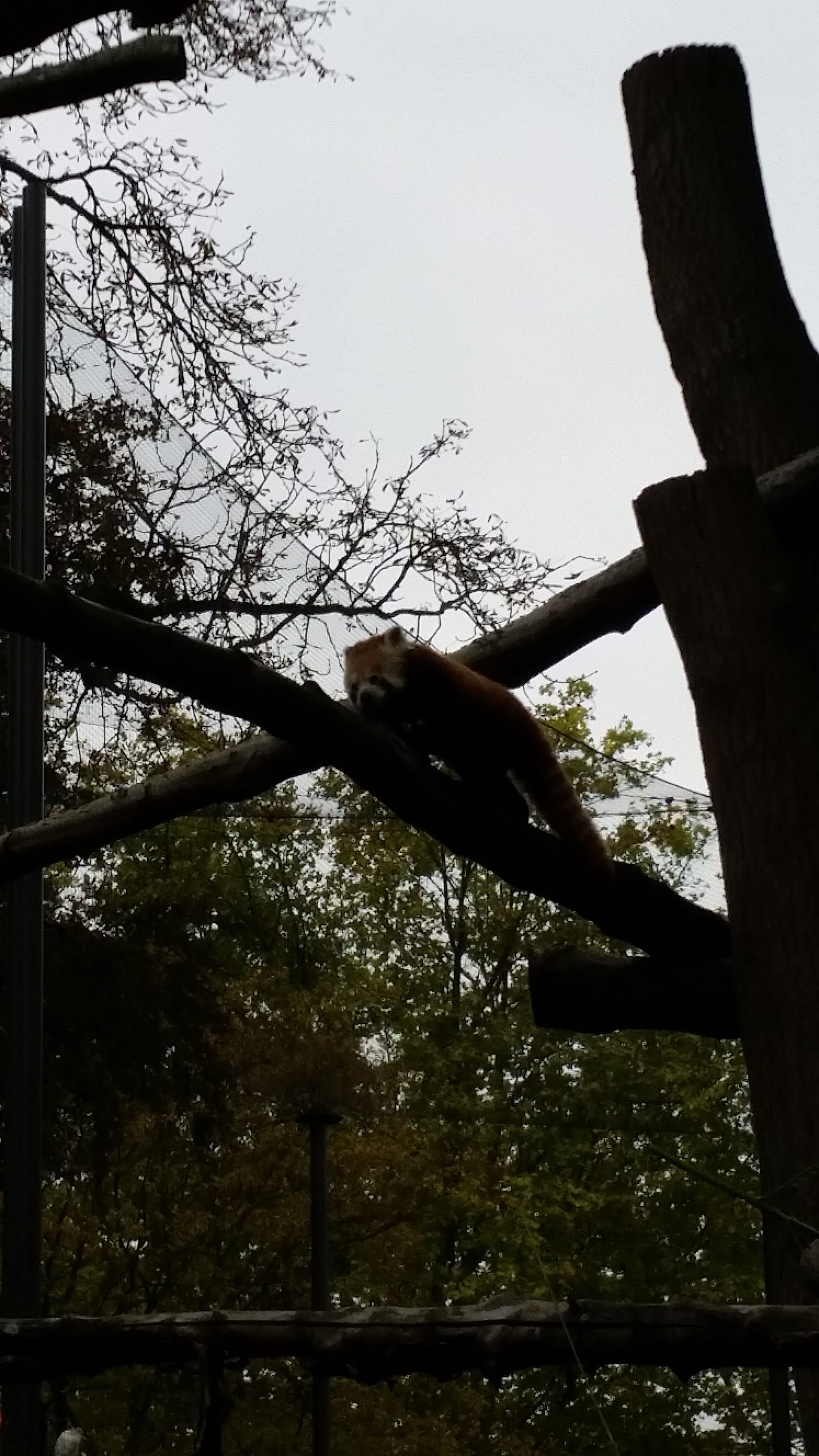 Photo n° 10 de l'avis de Adeline. fait le 08/10/2017 à 15:43