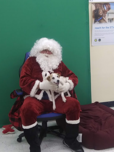 Pet Supply Store «Petco Animal Supplies», reviews and photos, 3300 Broadway St, Eureka, CA 95501, USA