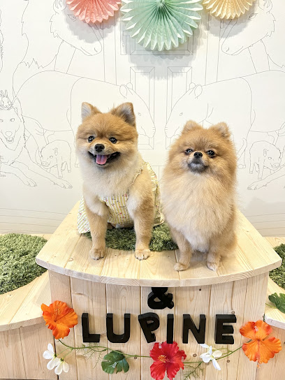 Dog&Cat Salon LUPINE.