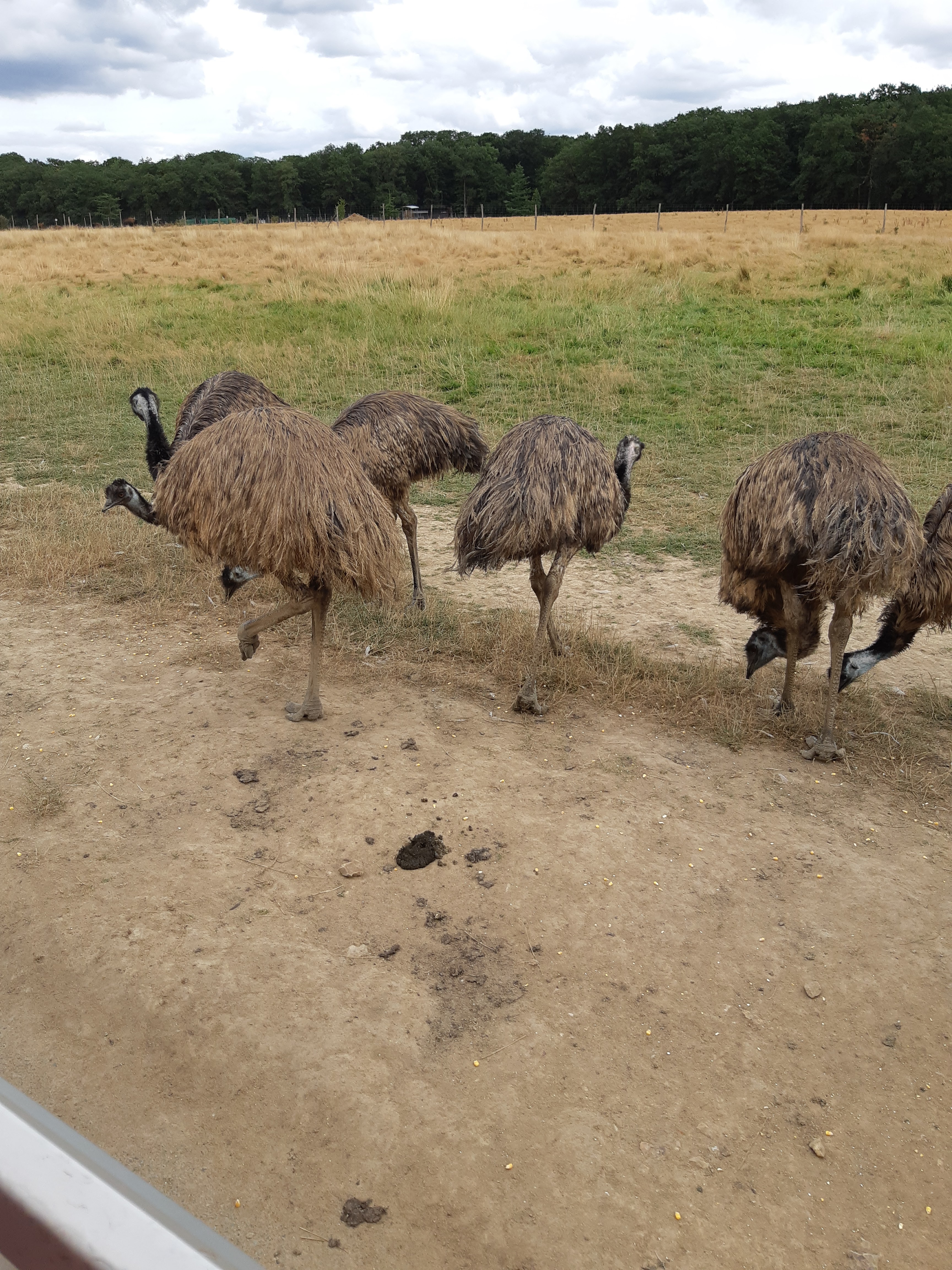 Photo n° 39 de l'avis de Carla.a fait le 10/08/2018 à 15:54