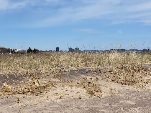 Nature Preserve «Sandy Point Bird Sanctuary», reviews and photos, Beach St, West Haven, CT 06516, USA