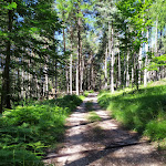 Photo n°3 de l'avis de Aldo.e fait le 25/07/2020 à 14:15 sur le  Malga Cislon à Truden im Naturpark