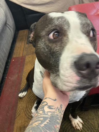 Explore mens full sleeve tattoo ideas, creative tattoo ideas in Englewood, available at The Original Big Daddy Tattoo & Body Piercing est.1997 est.1997