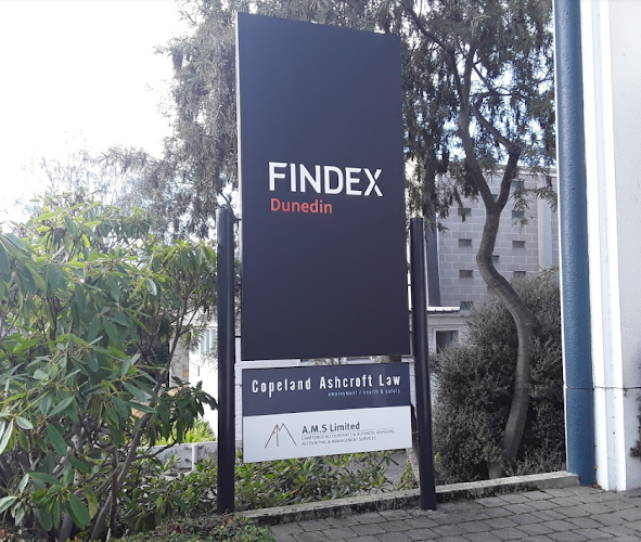 Findex Dunedin - Dunedin