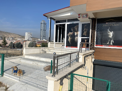 PetMode - Kedi ve Köpek Çiftliği Ankara Satış Merkezi