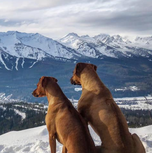 Vitamin & Supplements Store «For Goodness Sake», reviews and photos, 9118 Bonita Beach Rd SE, Bonita Springs, FL 34135, USA