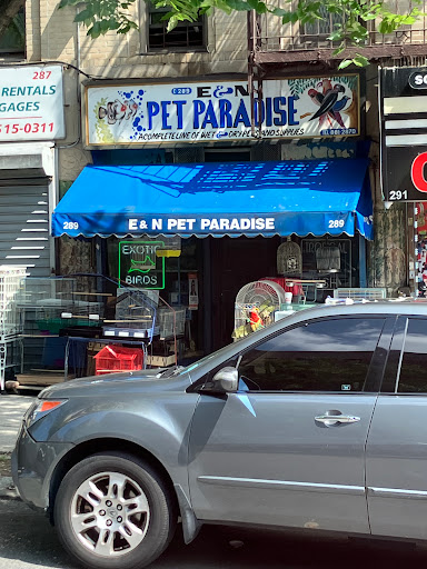 Pet Supply Store «E & N Pet Paradise Shop», reviews and photos, 289 E Gun Hill Rd, Bronx, NY 10467, USA