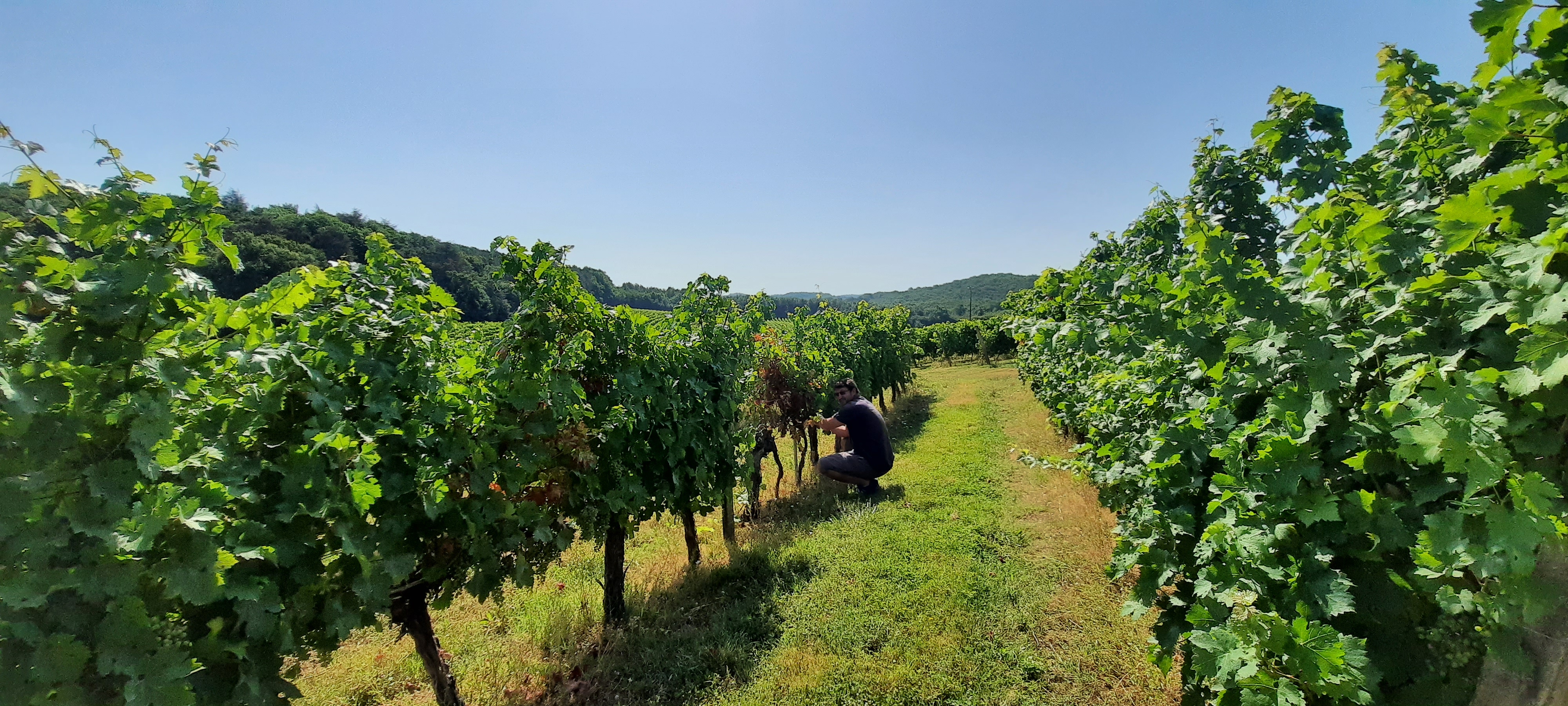 Photo n° 1 de l'avis de aude.o fait le 22/07/2020 à 08:53