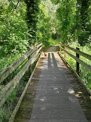 Espace naturel du domaine de Bellenville à Beuvry