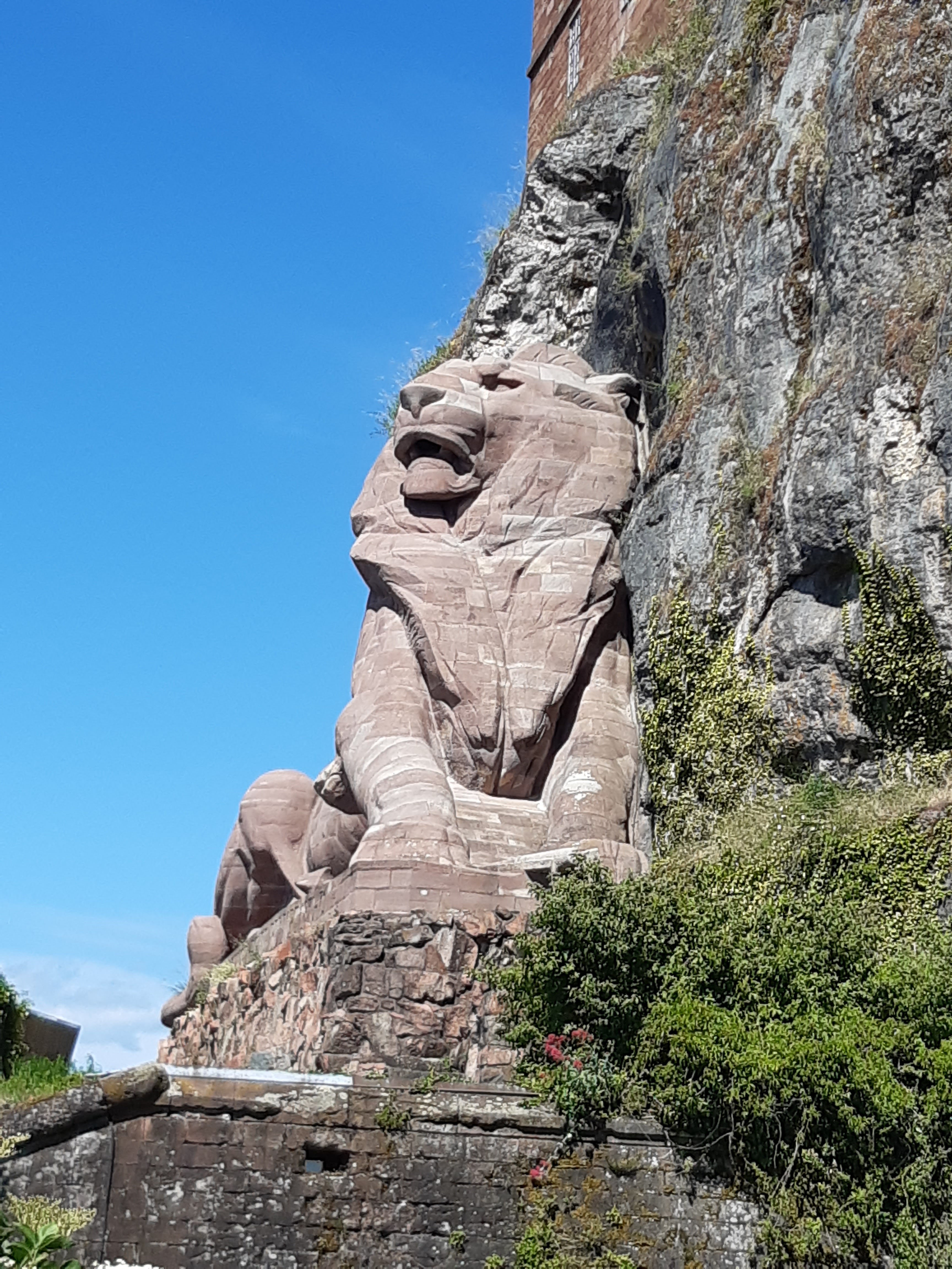 Photo n° 14 de l'avis de Aymeric.e fait le 29/05/2022 à 14:43