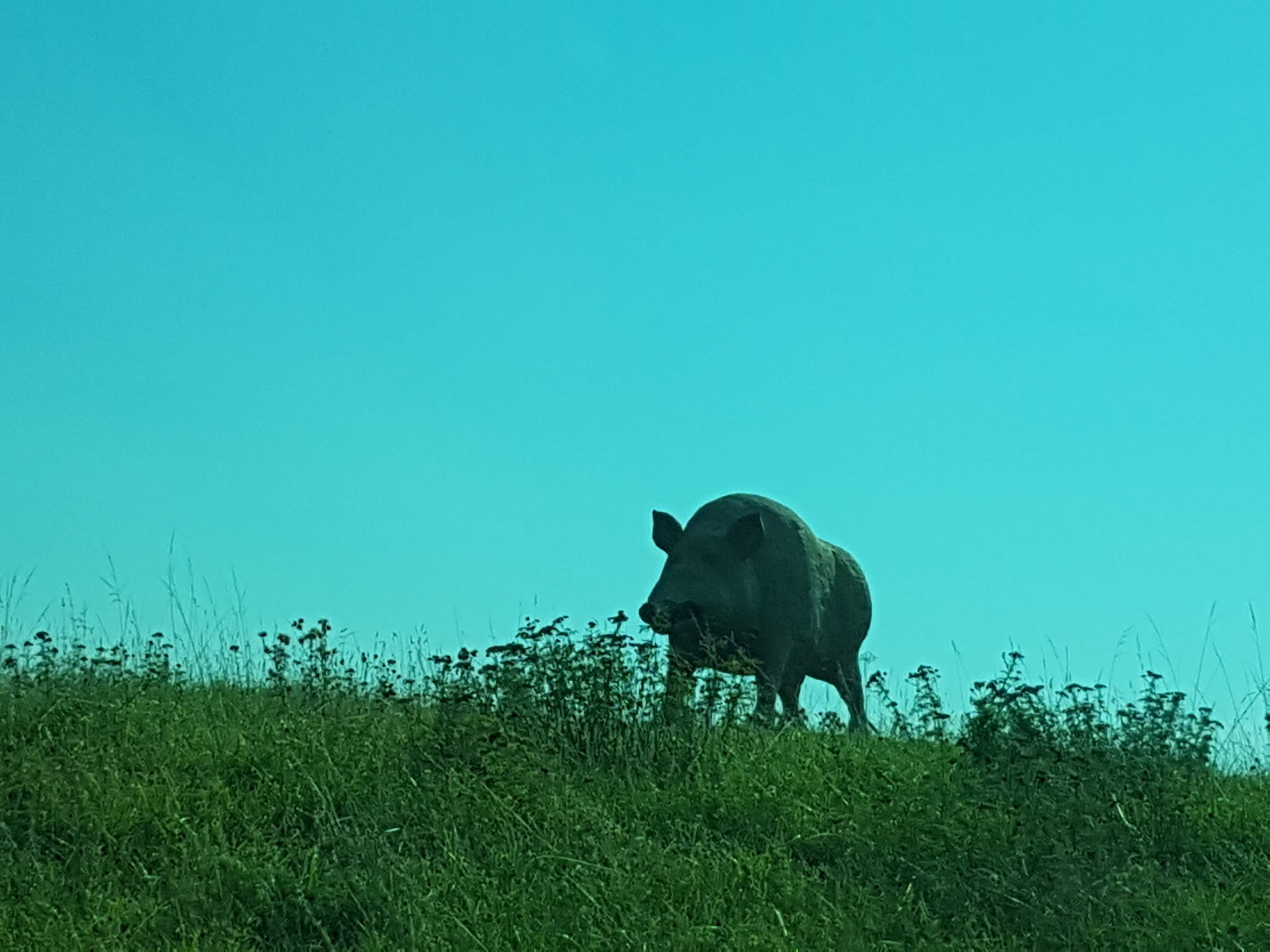 Photo n° 1 de l'avis de zoé.a fait le 11/09/2023 à 18:50