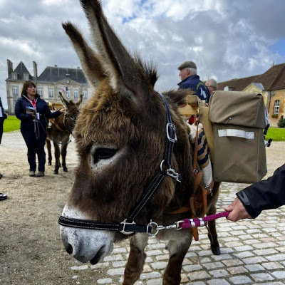 Centre de Valorisation du Haras du Pin à Le Pin-au-Haras