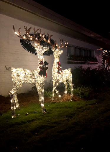 Jewelry Store «Nancy & Co Fine Jewelers», reviews and photos, 1848 McFarland Blvd, Northport, AL 35476, USA