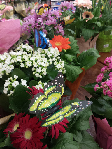 Grocery Store «Payless Super Market», reviews and photos, 1845 N Scatterfield Rd, Anderson, IN 46012, USA