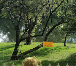 President Ridge Bird Sanctuary photo