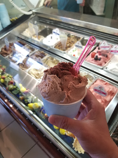 Ice Cream Shop «Dolce Gelato Cafe», reviews and photos, 41870 Garfield Rd, Charter Twp of Clinton, MI 48038, USA