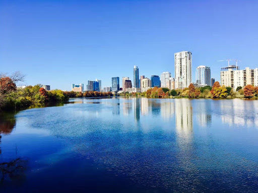 Insurance Agency «The Zebra», reviews and photos