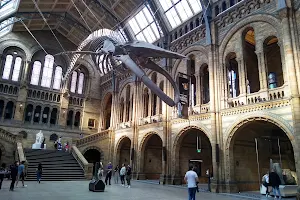 The Natural History Museum Shop image