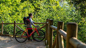 CycloRide Concepción